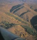 Übergang Steppe - Wald